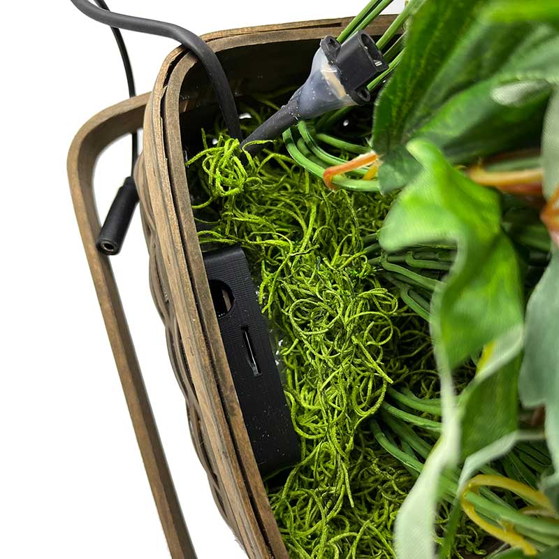 Xtreme Life 4K Plant Camera DVR