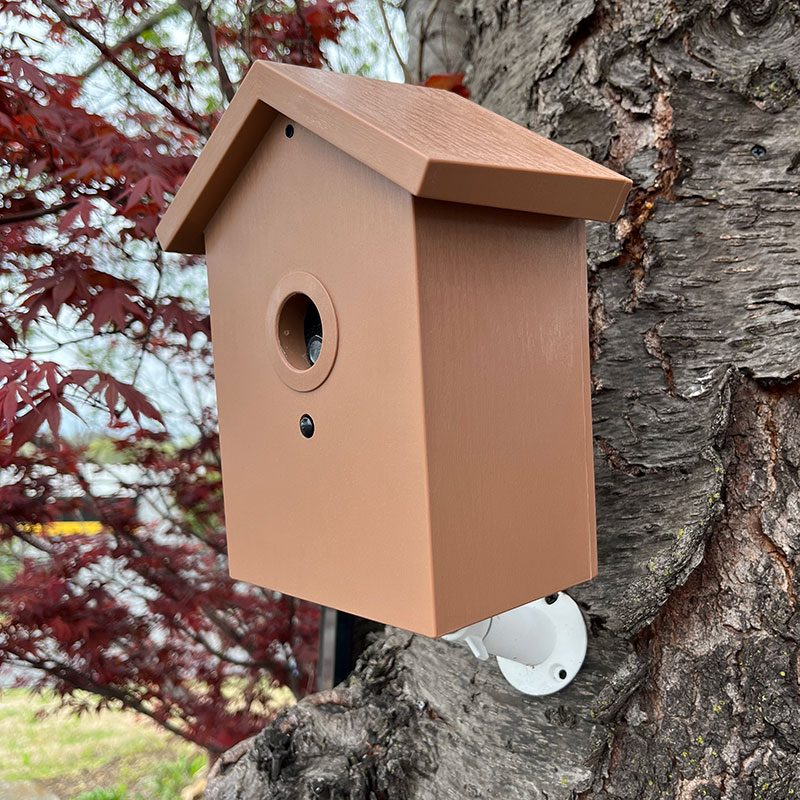SG Xtreme Life Solar Wi-Fi Birdhouse