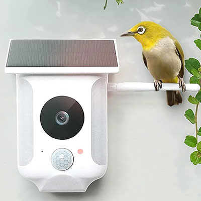 SG1040 Floodlight Camera Mounted on Building