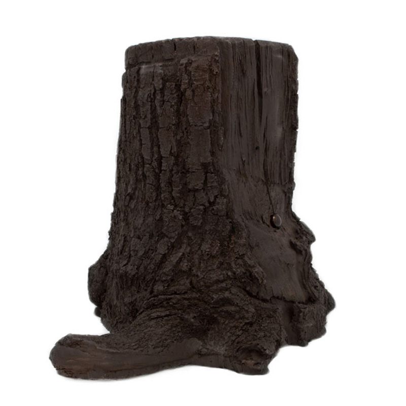 SGTS Tree Stump Camera Front View